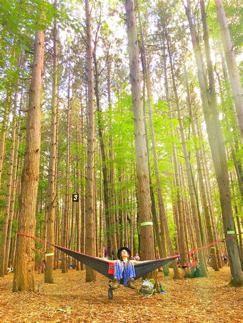 Electric Forest Eno Hammock Girl Photography Adventure