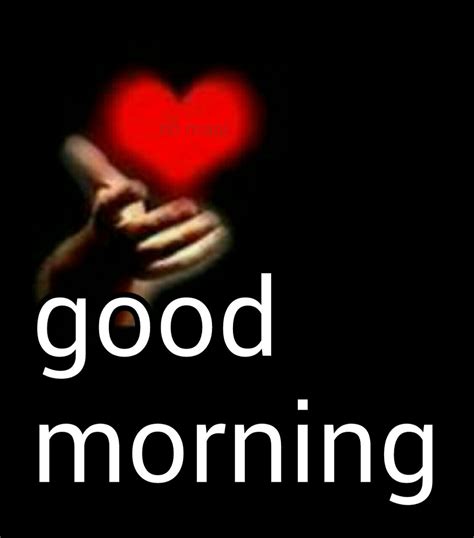 good morning no mani | Good morning quotes, Good morning images, Morning quotes