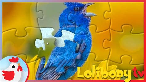 Animals Puzzle Bird Jigsaw Puzzle For Kids Youtube