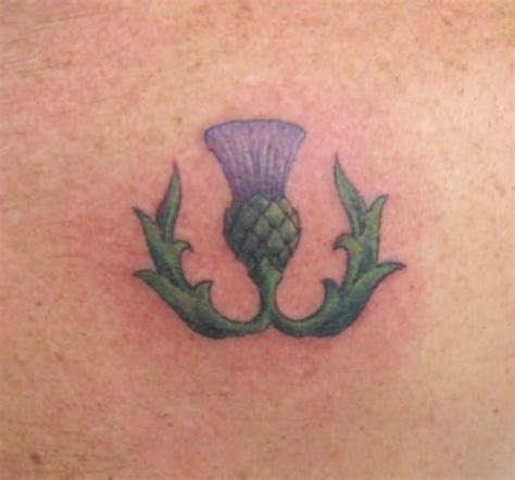 Thistle Tattoo Thistle Tattoo Scottish Tattoos Scottish Thistle Tattoo