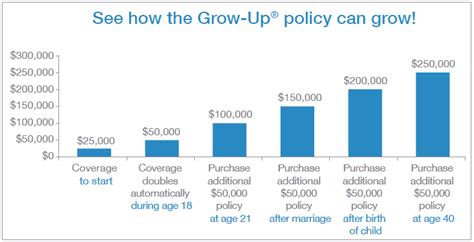Are babies automatically covered by insurance. Life Insurance for Children (A Look at the 3 Best Policies)
