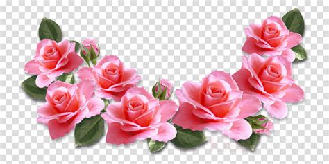 Download Transparent Pink Flowers Png Clipart Pink Flowers Rose Pink