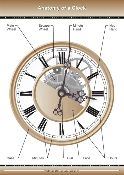 The Main Parts Of A Wall Clock