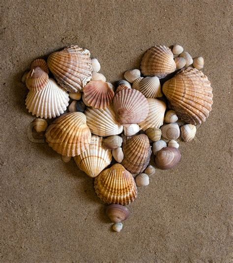 A Shell Heart On Sand Stock Image Colourbox