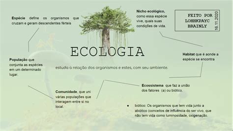 Conceitos Básicos Da Ecologia Br