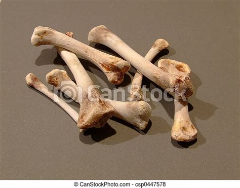 Pictures Of Bones Pile Of Bones Csp0447578 Search Stock Photos