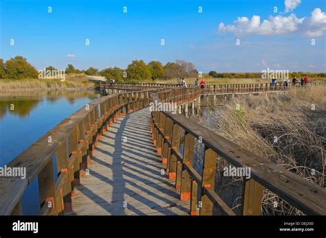 Tablas De Daimiel National Park Daimiel Ciudad Real Province