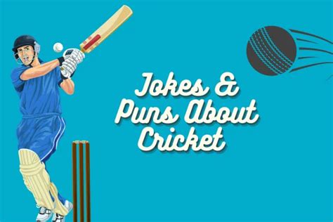 100 Funny Cricket Puns Funnpedia