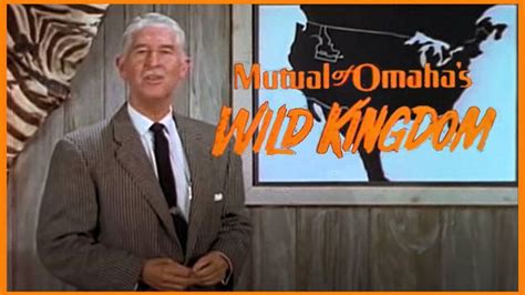 Mutual Of Omahas Wild Kingdom 1964 With Marlin Perkins In 2021