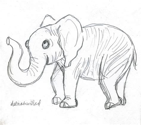Cute Elephant Drawing By Deborah Willard