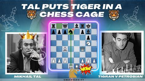 Tal Puts Tiger In A Chess Cage Mikhail Tal Latvia Vs Tigran V