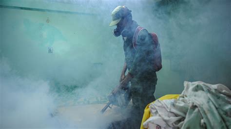 Zika Was Soaring Across Cuba Few Outside The Country Knew The New