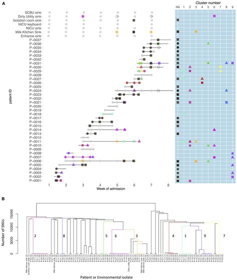 Frontiers Transmission Dynamics Of Hyper Endemic Multi Drug Resistant Klebsiella Pneumoniae In