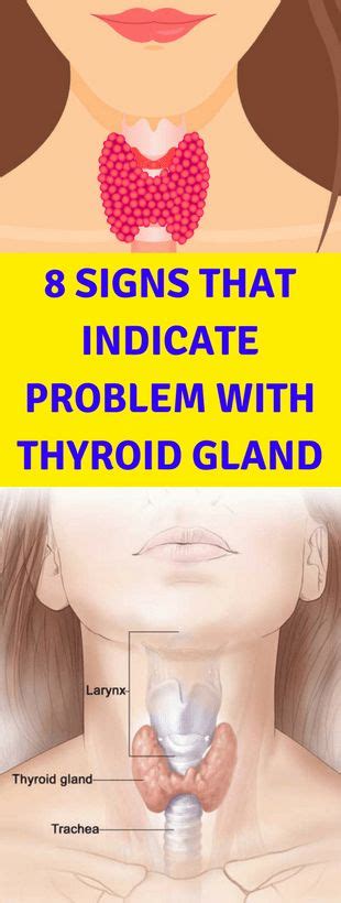 8 Signs That Indicate Problem With Thyroid Gland Healthycatcher