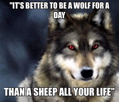 Quotes About Wolves Quotesgram