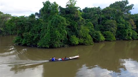 Amazon River | Trips Amazon River | Amazon Lodge Iquitos | Amazon River Tour | Amazon River ...