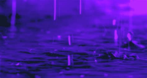 Purple Rain Is Falling Down On The Ground