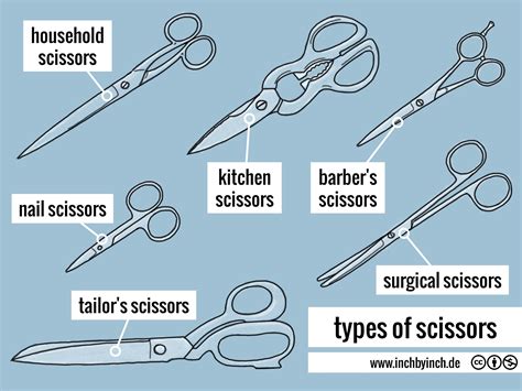Inch Technical English Types Of Scissors
