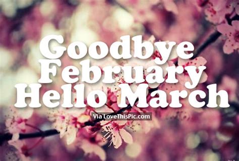 Goodbye February Hello March Pictures Photos And Images