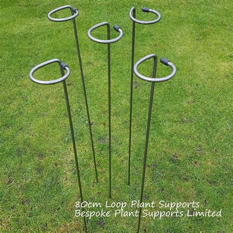 Metal Plant Supports Loop Stakes 5 Pack 80cm 100cm Or 130cm Tall 80cm