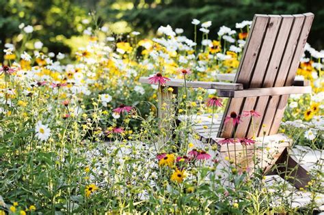 How To Plant A Mini Meadow Hgtv