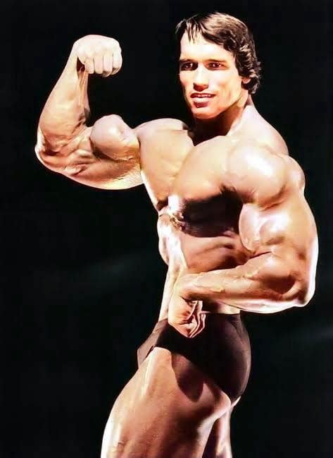 Arnold alois schwarzenegger was born july 30, 1947, in the town of thal, styria, austria, to aurelia schwarzenegger (born jadrny) and gustav schwarzenegger, the local police chief. Arnold Schwarzenegger Updates Official Thread - Page 48