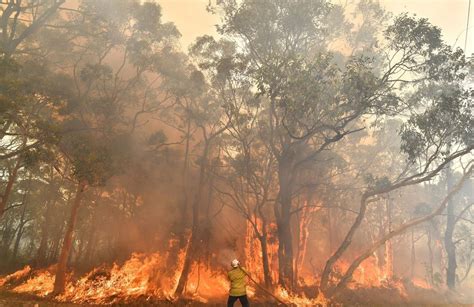 Pożary W Australii Setki Turystów Uwięzionych Przez Ogień O2 Serce Internetu
