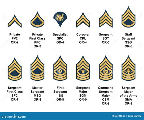 Army Enlisted Rank Insignia Stock Vector Illustration Of Emblem