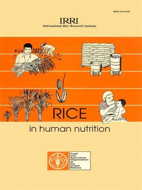 Faorice In Human Nutrition Rice Cereals