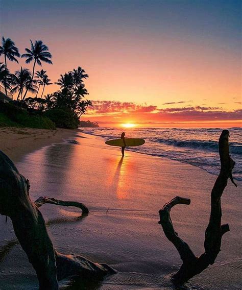 Sunset Surf Sessions 📍 North Shore Haleiwa Hawaii In 2020 Sunset