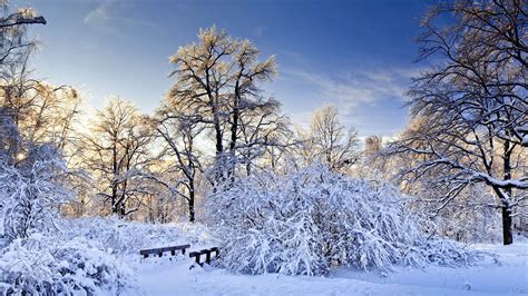 1080p Snow Wallpapers Top Free 1080p Snow Backgrounds Wallpaperaccess