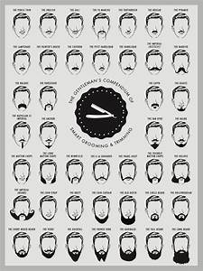 Beard And Mustache Print Beard Chart Beard Chart Art Print Etsy