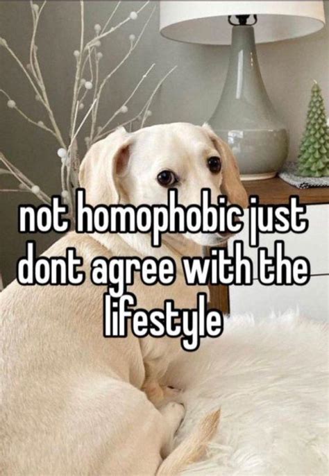 Not Homophobic Just Dont Agree With The Lifestyle Homophobic Dog