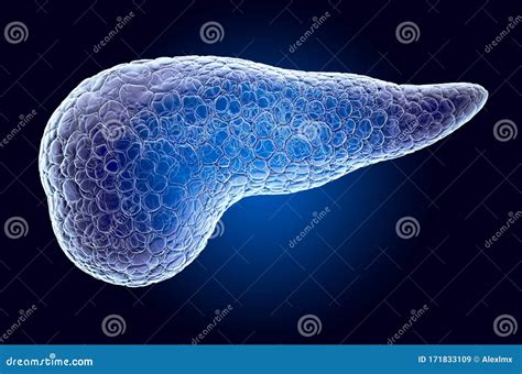 Pancreas X Ray Hologram 3d Rendering Stock Illustration