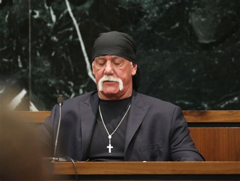 Hulk Hogan Wins Again In Racist Sex Tape Case National Enquirer