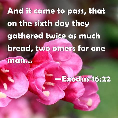 Exodus 1622 And It Came To Pass That On The Sixth Day They Gathered