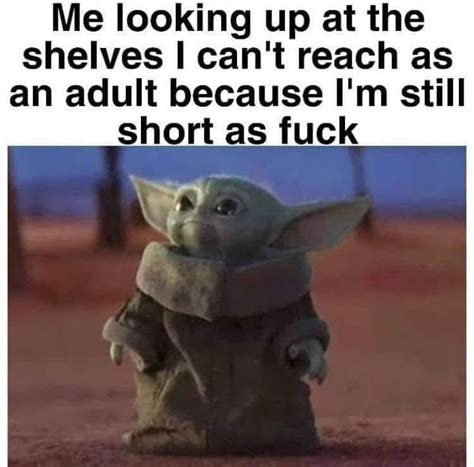 Legendary meme status baby yoda is back a creature who is not actually yoda as a baby, but which can only be described as baby yoda made an appearance in the mandalorian, instantly opening the floodgates to baby yoda memes. Baby yoda short humor | Yoda meme, Star wars memes, Memes