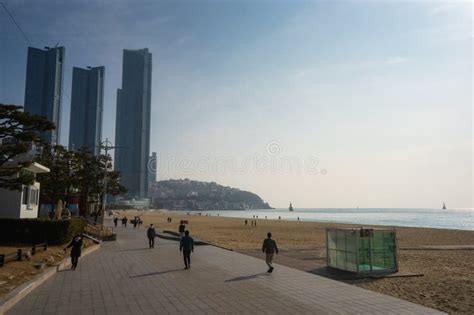 Haeundae Beach A Famous Beach In Busan During Winter Morning At