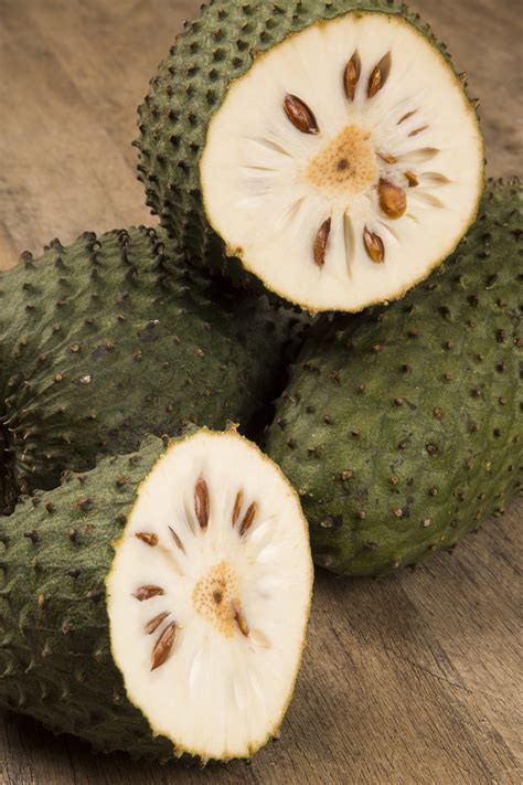All parts of the graviola tree are used as ingredients in natural medicine in the tropics, including the and uses are attributed to the different parts of the tree. Soursop: The Ugliest Fruit You'll Ever Love