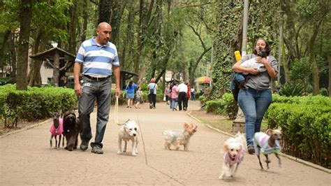 Reglamento De Mascotas En Los Parques Parques Alegres I A P
