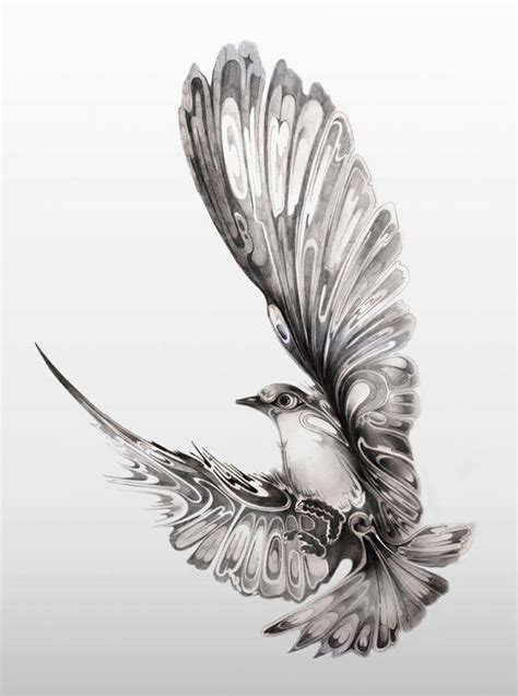 Rysunek Obraz Rysunek Olowkiem Ptak Szkic