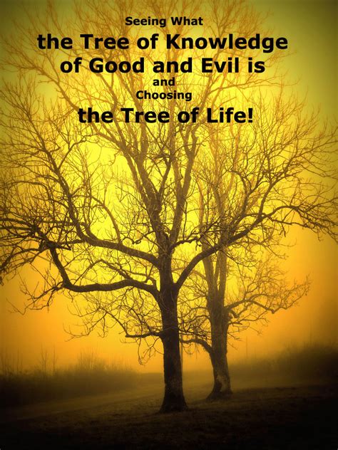 Seeing What The Tree Of Knowledge Of Good And Evil Is And Choosing The