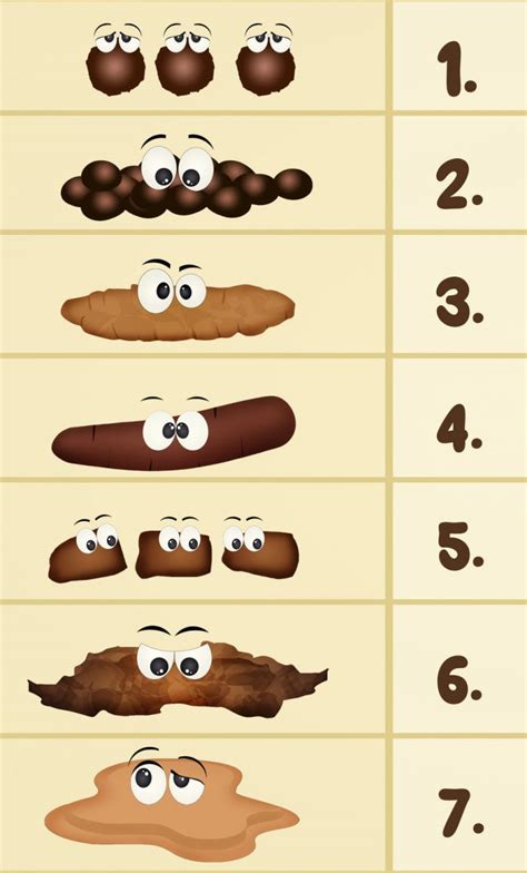 What Does My Poop Mean Why Color And Shape Are Important