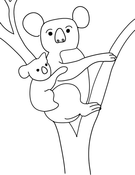 Free Printable Koala Coloring Pages For Kids Animal Place Koalas