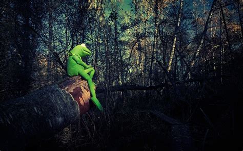 Kermit The Frog Desktop Wallpapers Wallpaper Cave