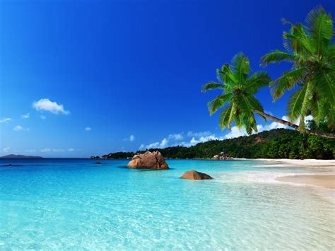 Tropical Paradise Beach Ocean Sea Palm Summer Coast