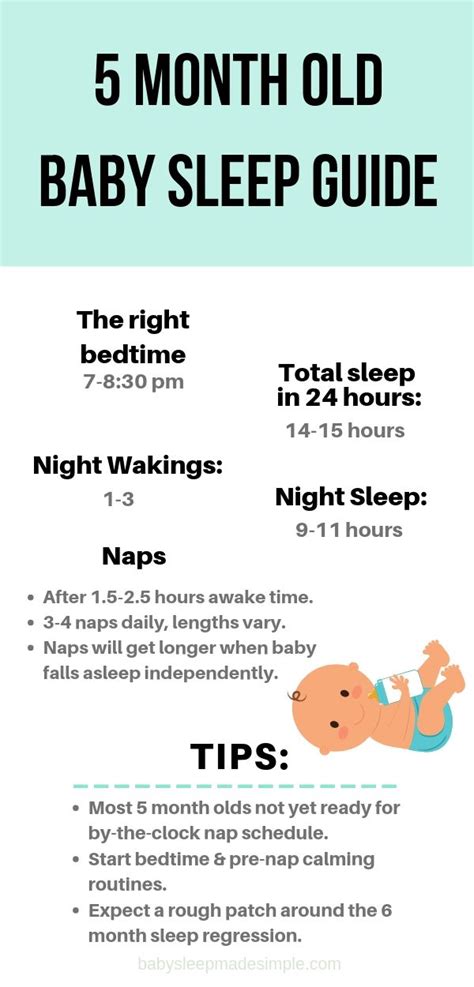 What Is A Good Bedtime For 6 Month Old Hanaposy