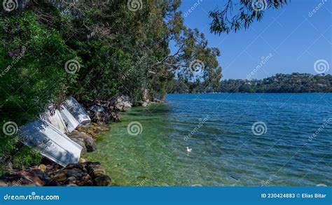 Beautiful Turquoise And Blue Waters Of Beauty Point Mosman On A Spring