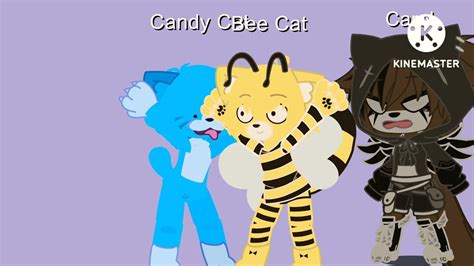 Meet Candy Cat And Bee Cat Youtube