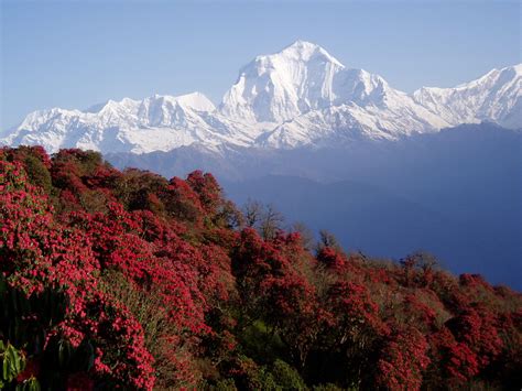 Annapurna Massif In Nepal 5k Wallpapers